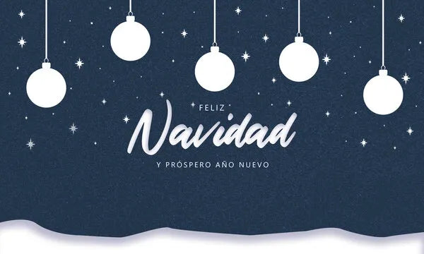 Servicio especial navideño