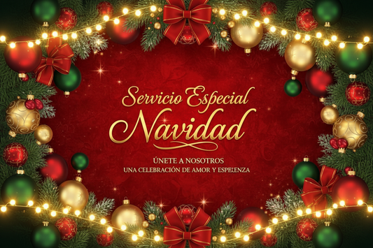 servicio especial navidad